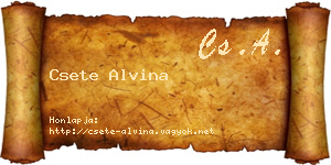 Csete Alvina névjegykártya